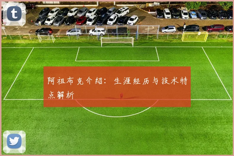 阿祖布克介绍：生涯经历与技术特点解析
